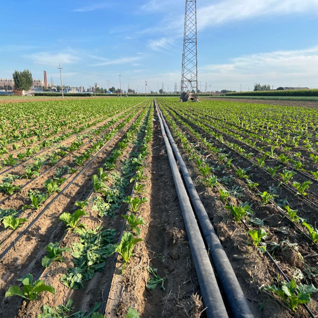 16mm Flat Emitter Drip Irrigation Tape Manufacturer, PE Drip Line Supplier