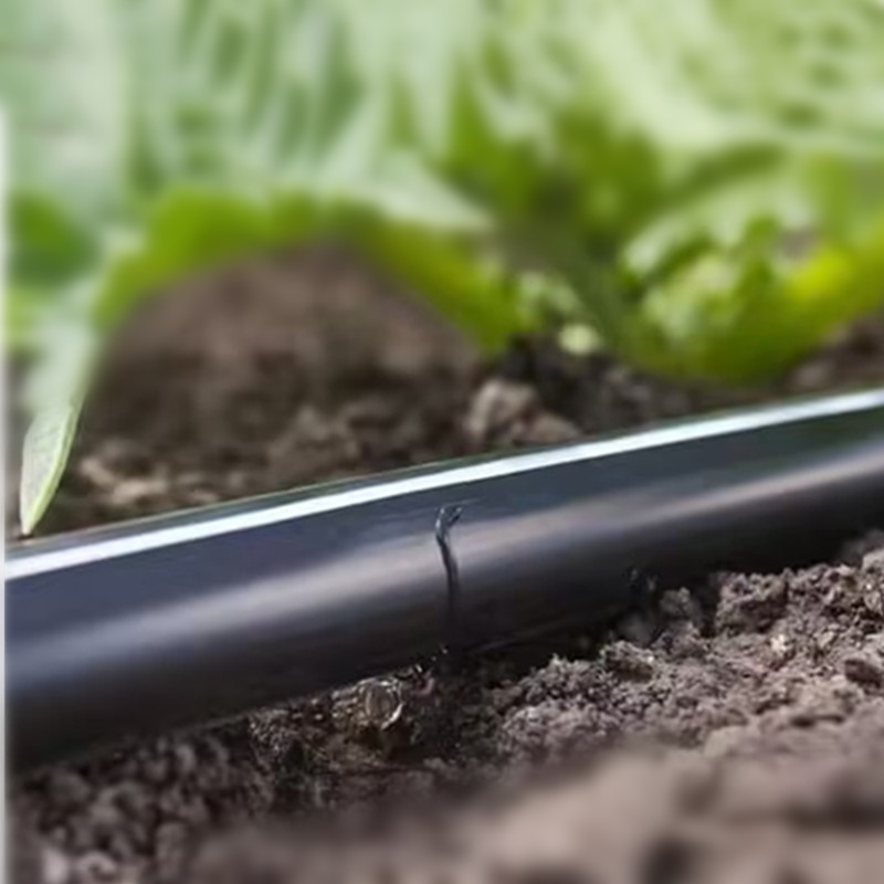 T Labyrinth Drip Irrigation Tape Manufacturer for Agricultural Irrigation Solutions