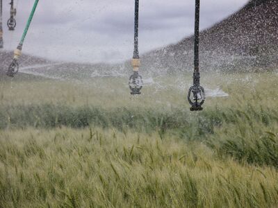 How Dripper Feeding, Insertion, And Online Punching Systems Work
