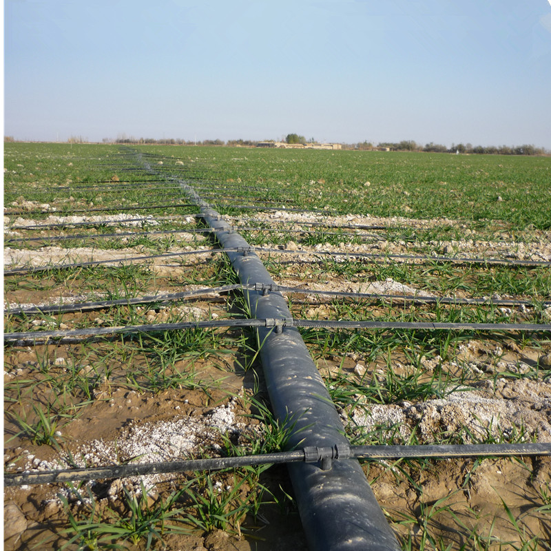 Agriculture Irrigation System1