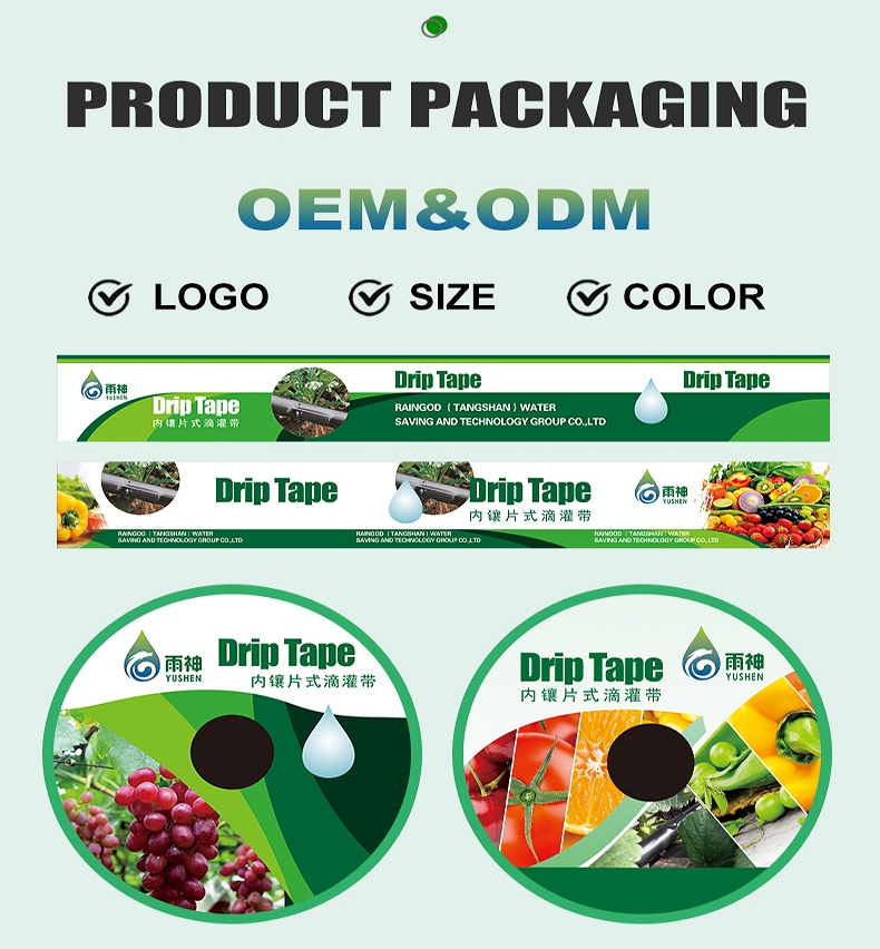 CUSTOMIZED SERVICES