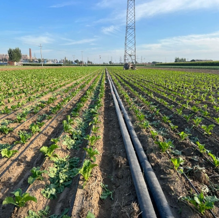 Root-zone drip irrigation