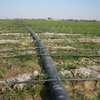 PE Pipe Manufacturer for Agricultural Irrigation and Plastic Extrusion Applications