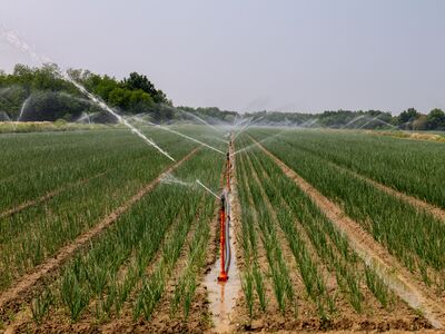 Main Components of A Plastic Pipe Extruder for Agricultural Irrigation Pipes