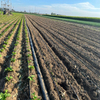 16mm Flat Emitter Drip Irrigation Tape Manufacturer, PE Drip Line Supplier