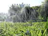 Micro Spraying Tape Making Machine Manufacturer for Agricultural Irrigation System Production