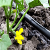 Integral Cylindrical Drip Line Supplier for Efficient Agricultural Irrigation Systems