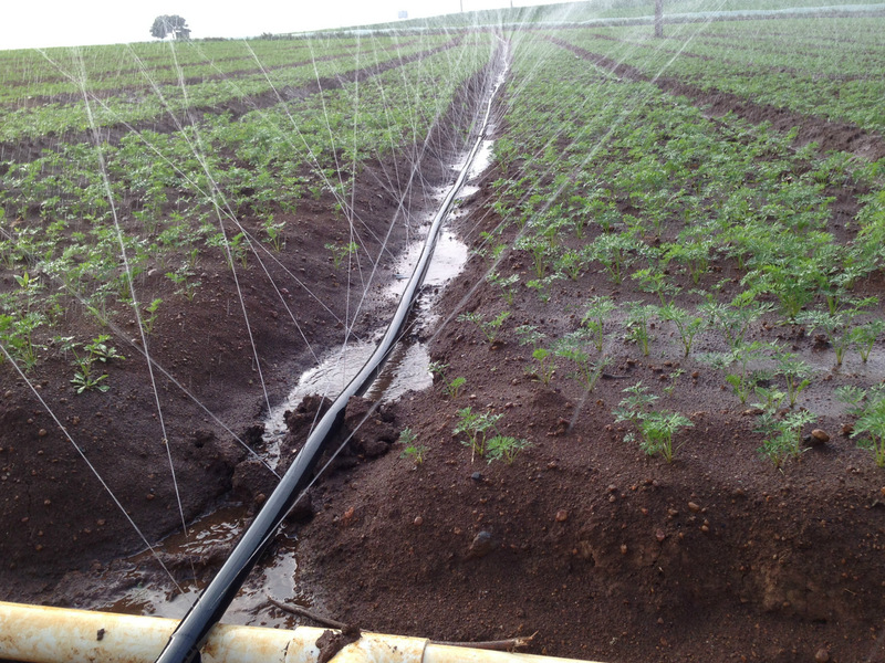 Micro Spraying Tape Making Machine Manufacturer for Agricultural Irrigation System Production