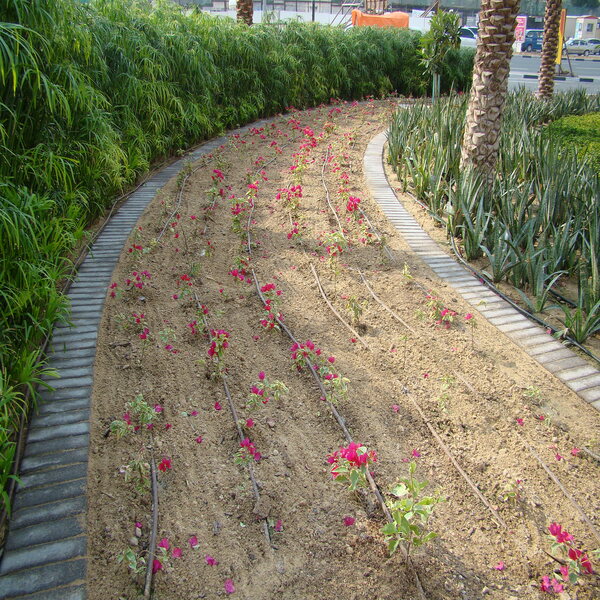 DRIP IRRIGATION FOR LANDSCAPE GARDENING