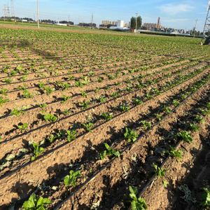 16mm Flat Emitter Drip Irrigation Tape Manufacturer, PE Drip Line Supplier